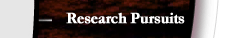 Research Pursuits
