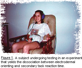 Figure 1. A subject undergoing testing in an experiment which yeilds the dissociatio between electrodermal orienting and secondary task reaction time