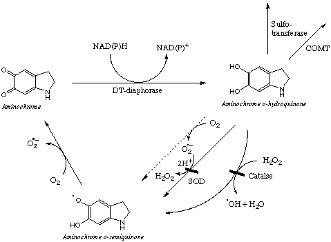 Autoxidation Mechanism