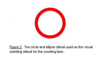 Figure 2.  The circle and ellipse shapes used as the visual orienting stimuli in the counting task
