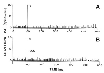 fig_grp3.jpg (30006 bytes)