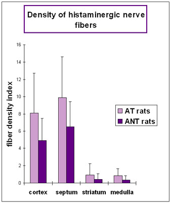 Density of histamine histaminergic nerve fibres