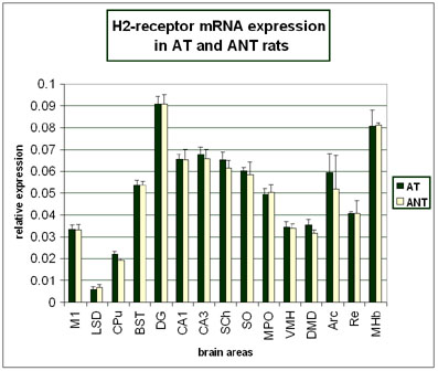H2-receptor mRNA expression