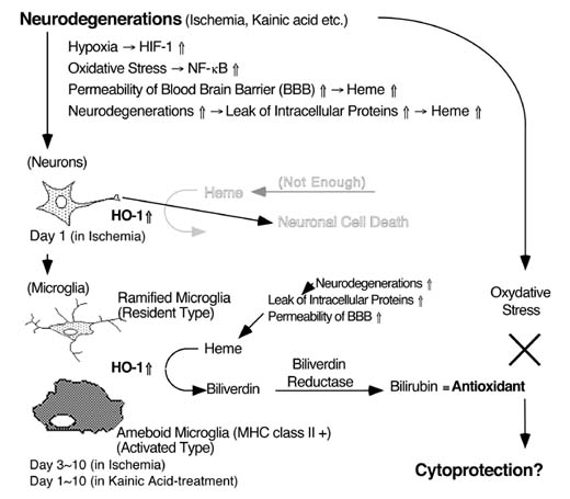 Fig-10