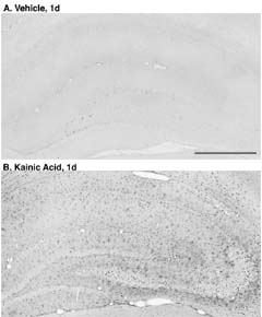 Fig-2-Small