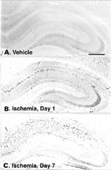 Fig-7-Small