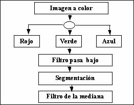 fig23.jpg (11293 bytes)